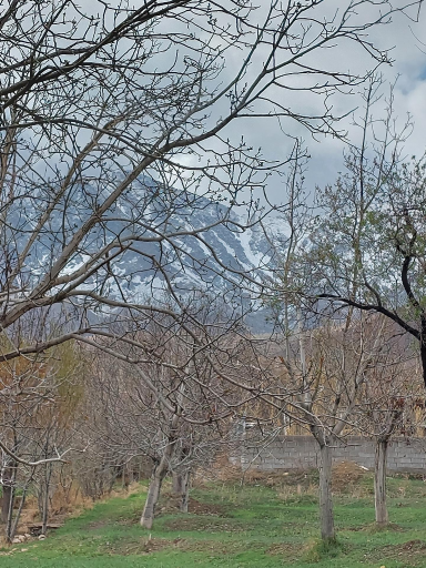 عکس هستیجان