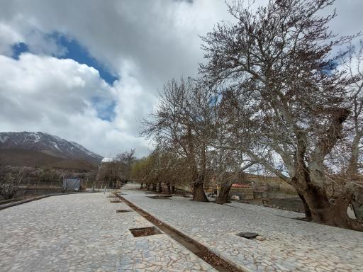 عکس هستیجان