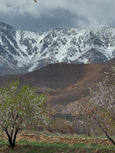 عکس هستیجان