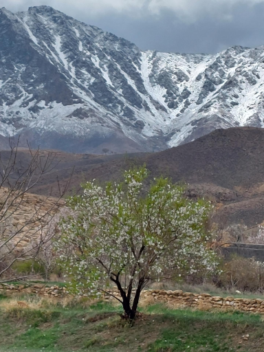 عکس هستیجان