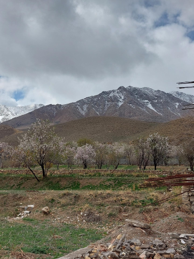 عکس هستیجان