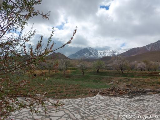 عکس هستیجان