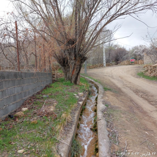 عکس هستیجان