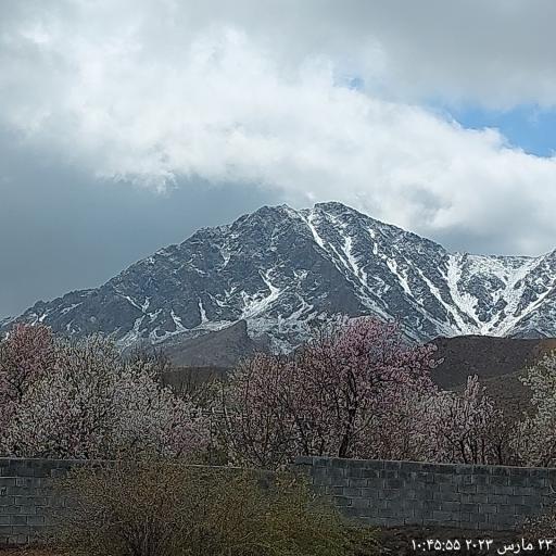عکس هستیجان