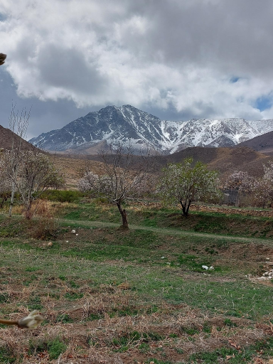 عکس هستیجان