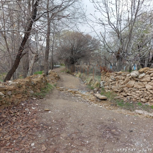 عکس هستیجان