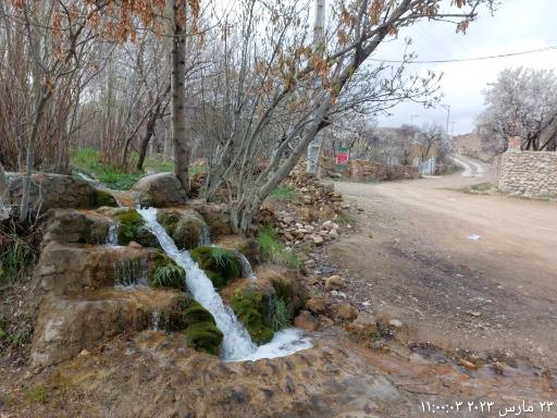 عکس هستیجان