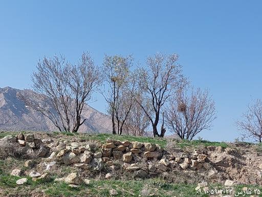 عکس هستیجان