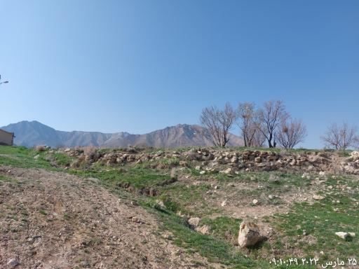 عکس هستیجان