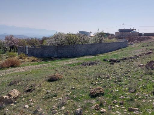 عکس هستیجان
