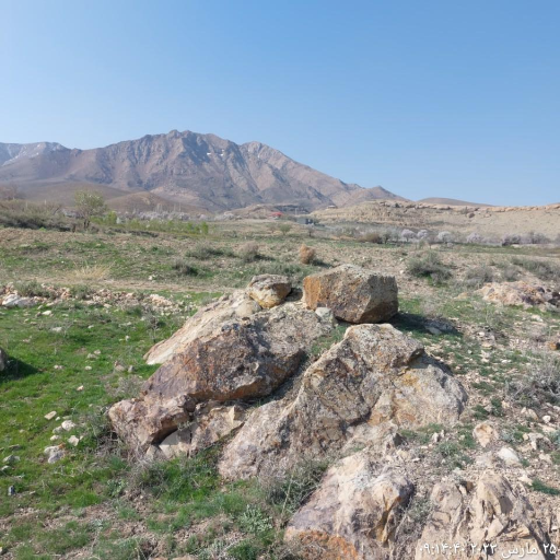 عکس هستیجان