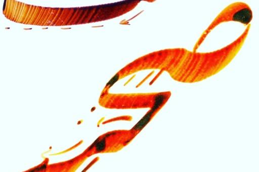 عکس آموزشگاه نگارستان خط