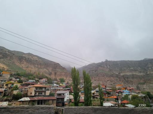 عکس رینه
