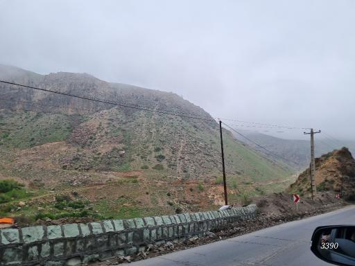 عکس رینه