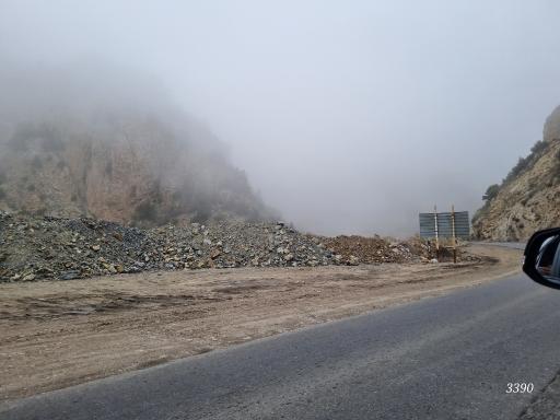عکس رینه