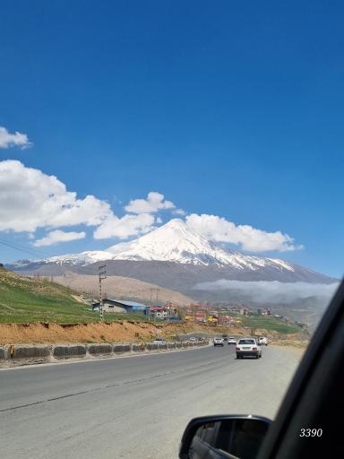 عکس رینه