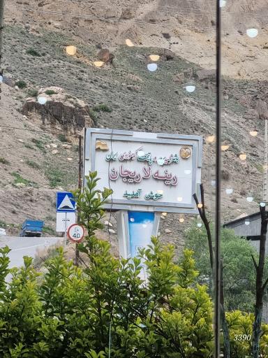 عکس رینه
