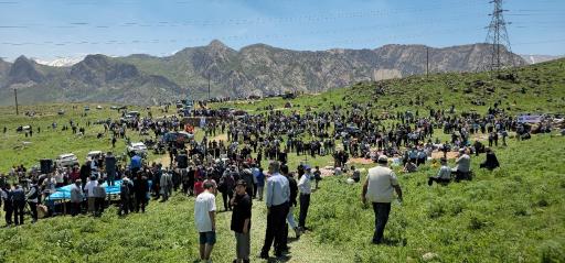 عکس رینه