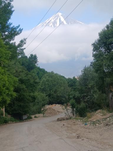 عکس رینه