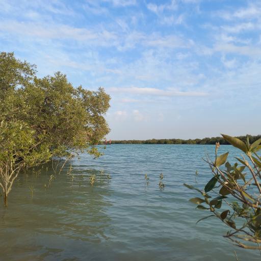 عکس بندر خمیر