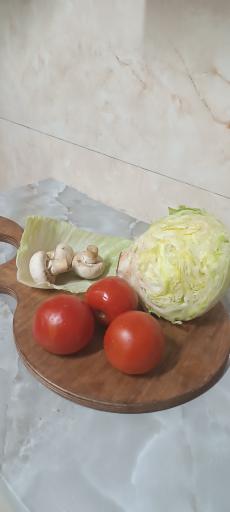 عکس فست فود پارک جنگلی 