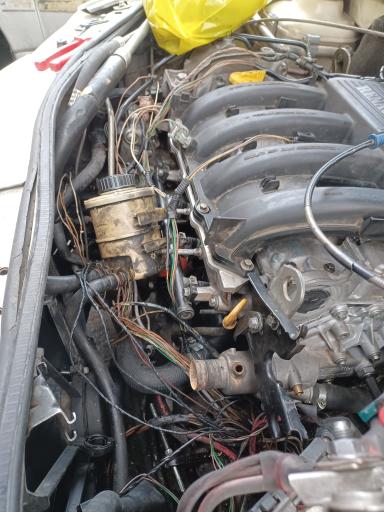 عکس تون آپ مهندس مراتی