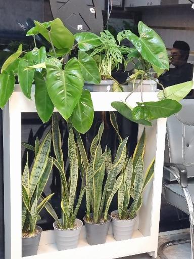 عکس دفتر املاک مسکن مهر