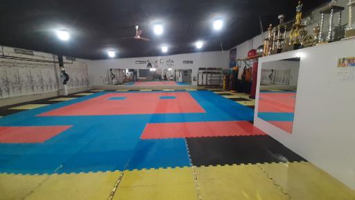 عکس باشگاه خاتم
