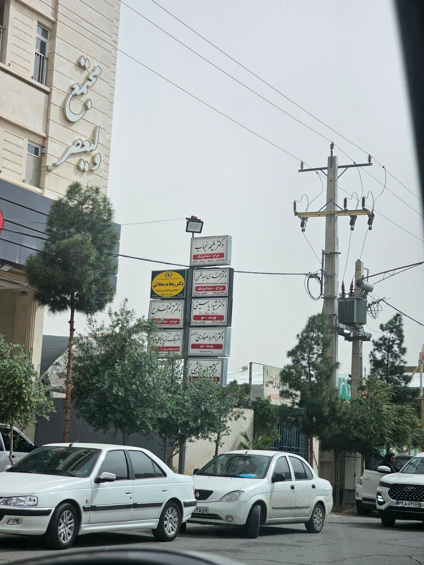 عکس دکتر ملیحه حباب