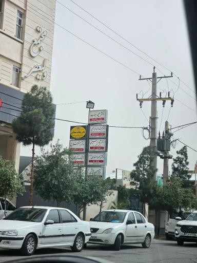 عکس دکتر ملیحه حباب