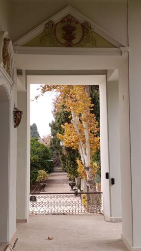 عکس باغ عفیف آباد