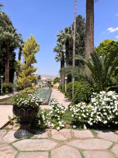 عکس باغ عفیف آباد