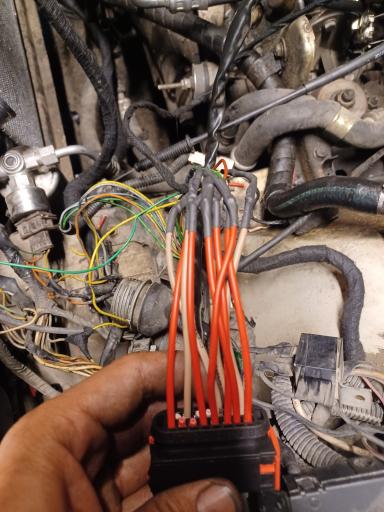 عکس تون آپ مهندس مراتی