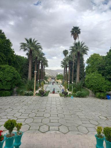 عکس باغ عفیف آباد