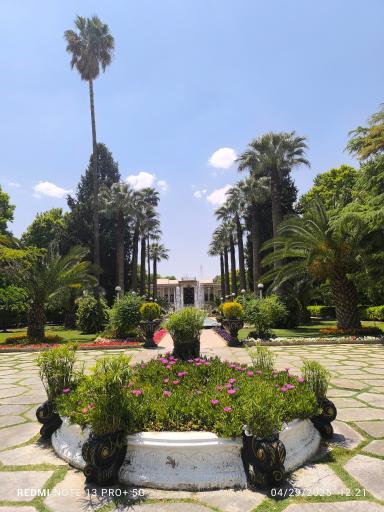 عکس باغ عفیف آباد