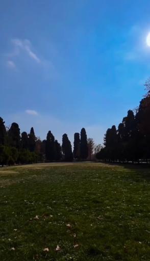 عکس باغ عفیف آباد