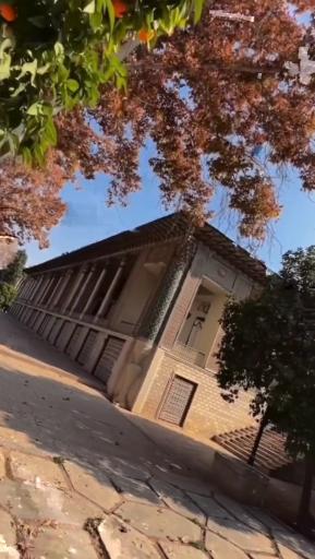 عکس باغ عفیف آباد