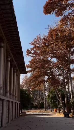 عکس باغ عفیف آباد