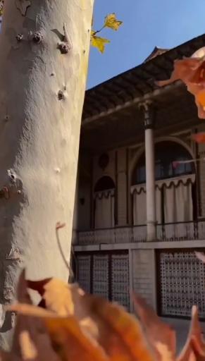 عکس باغ عفیف آباد