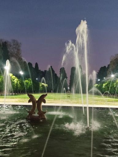 عکس باغ عفیف آباد