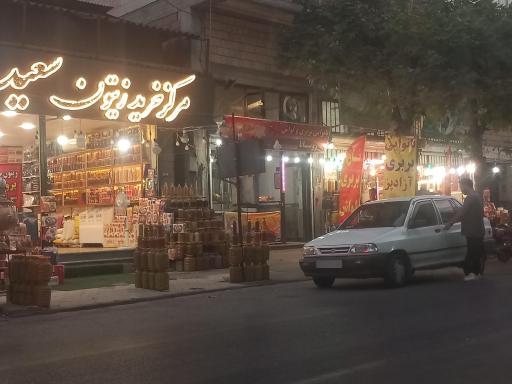 عکس زیتون سعید 