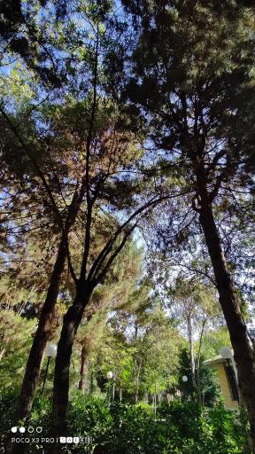 عکس پارک کوکب