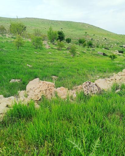 عکس شیرزاد آباد