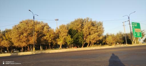 عکس میدان جهاد