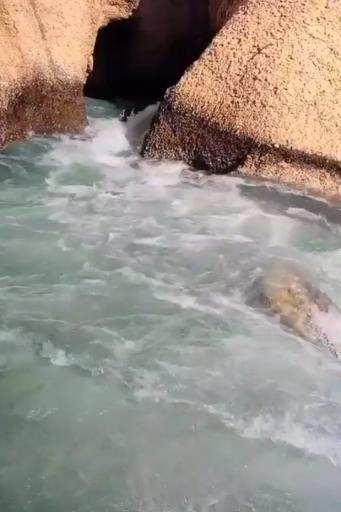 عکس چشمه کوهرنگ