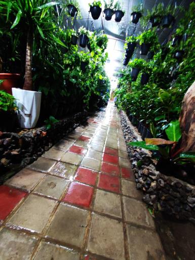 عکس گلخانه فانوس