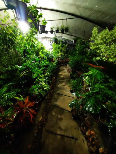 عکس گلخانه فانوس