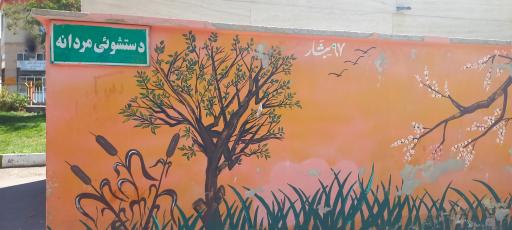 عکس سرویس بهداشتی