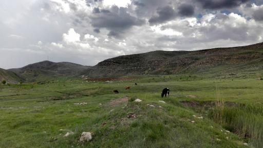 عکس شیرزاد آباد