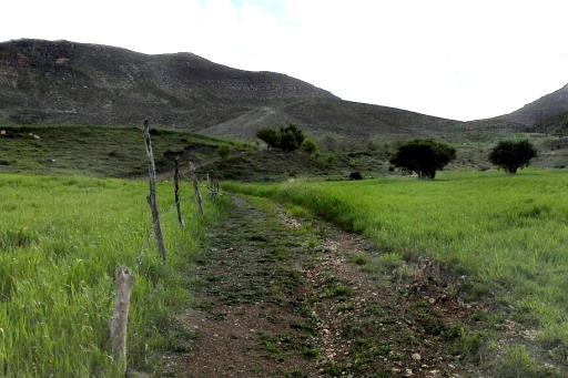 عکس شیرزاد آباد